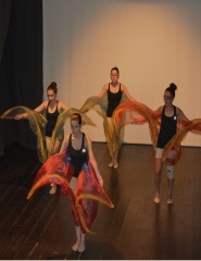 METAMORFOSE – GRUPO DE DANÇA TÄNZER