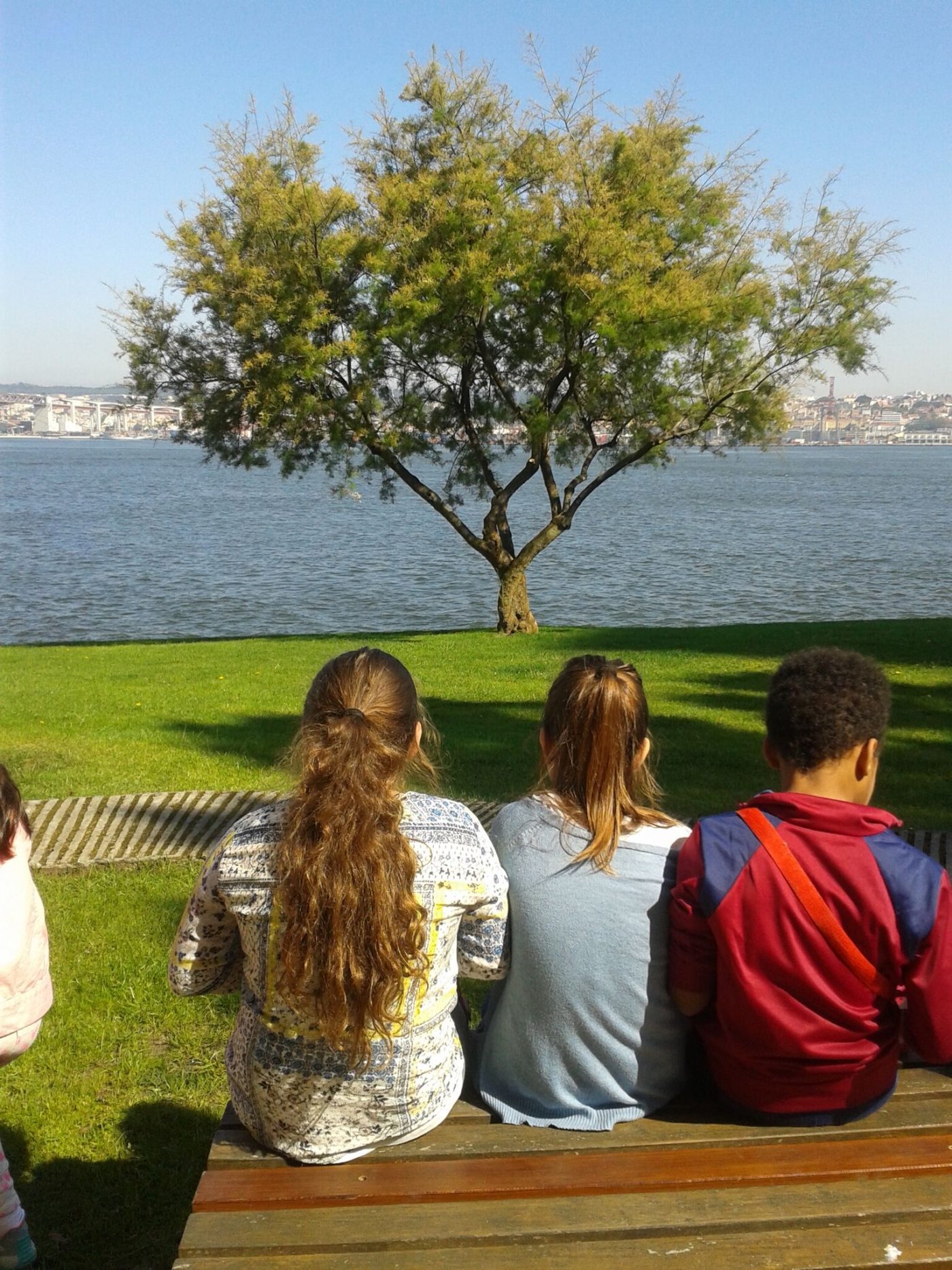 Em julho e agosto há atividades gratuitas para os mais novos em Almada. A Rede Municipal de Bibliotecas e a Rede Municipal de Museus propõem várias atividades lúdicas gratuitas para os mais novos e suas famílias. No Museu Naval os participantes são desafiados a construir peixes muito diferentes dos que conhecemos nos lagos