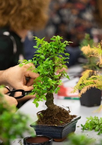 As Artes Japonesas vão estar em destaque no Museu do Oriente numa altura em que a nova estação do ano, a Primavera se aproxima. Workshops sobre artes de arranjos florais e decoração, quer seja na reorganização do espaço como na criação de peças originais, são os temas em que se pode inscrever.