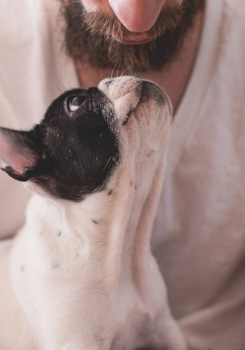 O Lisbon Marriott Hotel é Pet Friendly! Se gosta de levar o seu animal de estimação para todo o lado, neste excelente hotel, o seu amigo de quatro patas é bem-vindo.