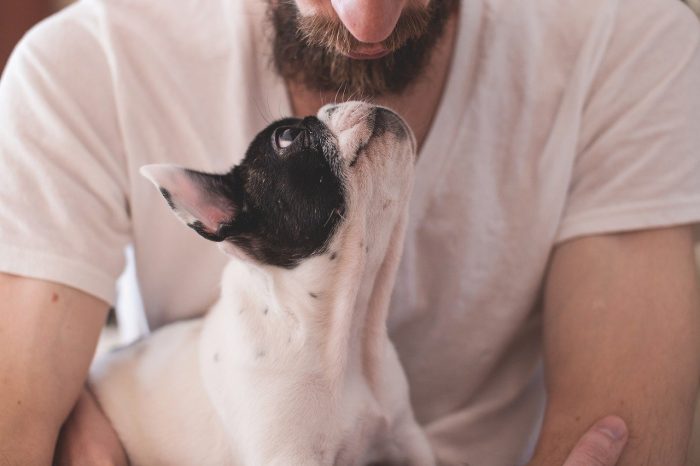 O Lisbon Marriott Hotel é Pet Friendly! Se gosta de levar o seu animal de estimação para todo o lado, neste excelente hotel, o seu amigo de quatro patas é bem-vindo.