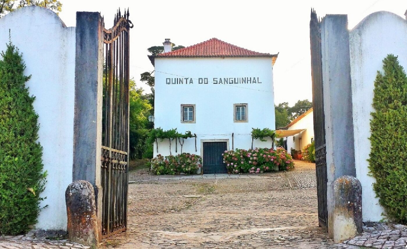 O Sanguinhal Stock Market é já este fim-de-semana, nos dias 26 e 27 de Fevereiro, e vai haver muita coisa, para não dar por perdido o tempo que vai passar nesta fantástica Quinta do Sanguinhal, um espaço único com adega, lagares e destilaria do Sec XIX, situada no Bombarral.