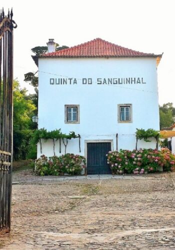 O Sanguinhal Stock Market é já este fim-de-semana, nos dias 26 e 27 de Fevereiro, e vai haver muita coisa, para não dar por perdido o tempo que vai passar nesta fantástica Quinta do Sanguinhal, um espaço único com adega, lagares e destilaria do Sec XIX, situada no Bombarral.