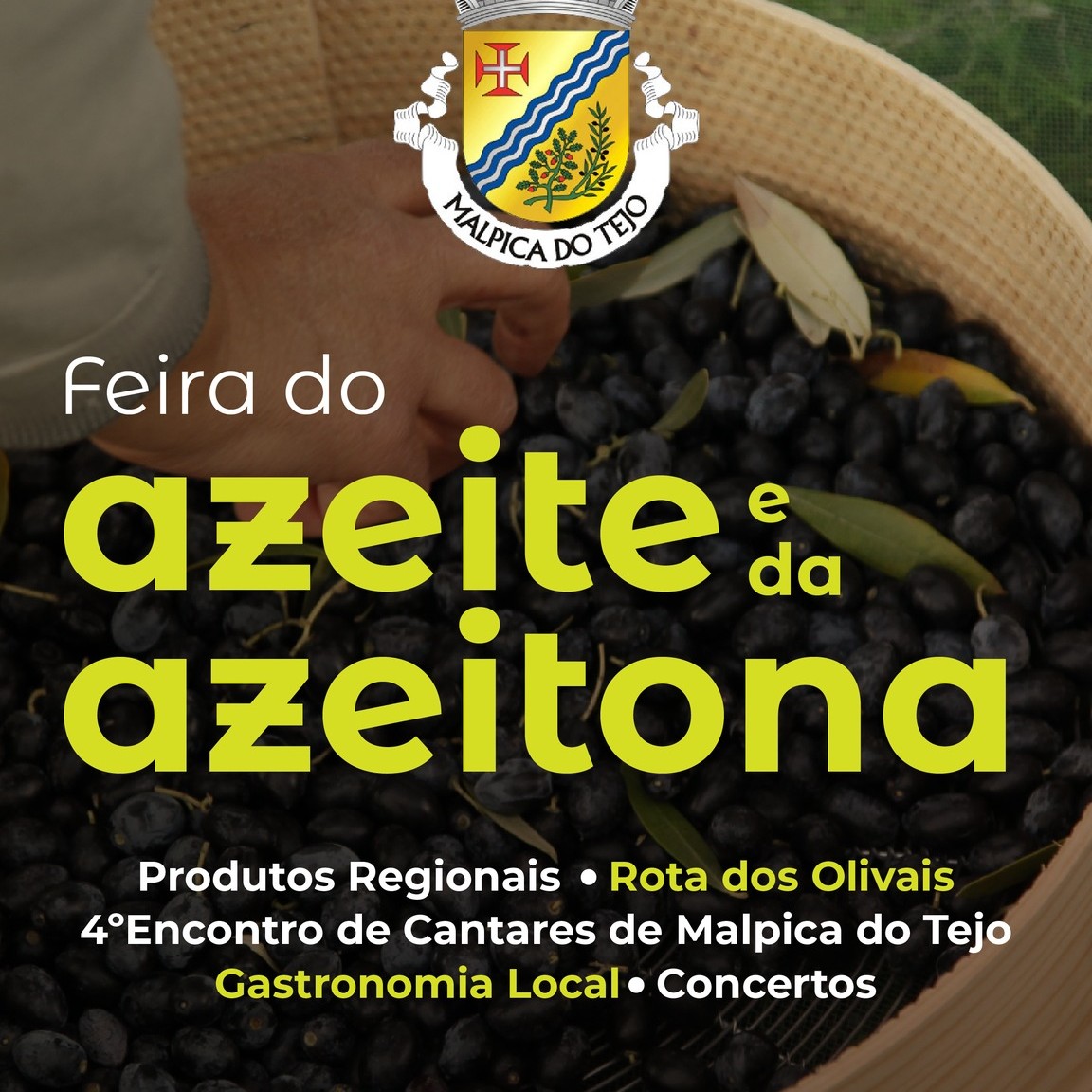 FEIRA DO AZEITE E DA AZEITONA 2024 | MALPICA DO TEJO