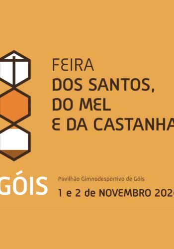 FEIRA DOS SANTOS, DO MEL E DA CASTANHA 2024 | GÓIS