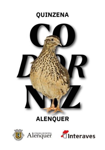 QUINZENA GASTRONÓMICA DA CODORNIZ 2024 | ALENQUER